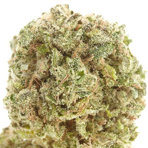 Medical cannabis strain Cherry AK