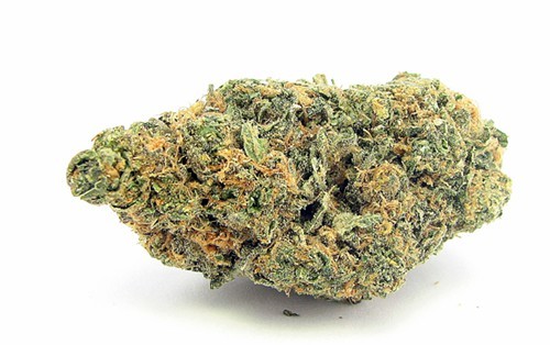 A flower bud of Girl Scout Cookies A flower bud of Girl Scout Cookies
