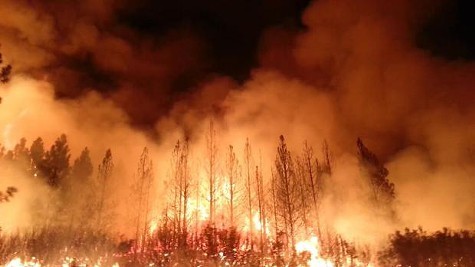 The Rim Fire