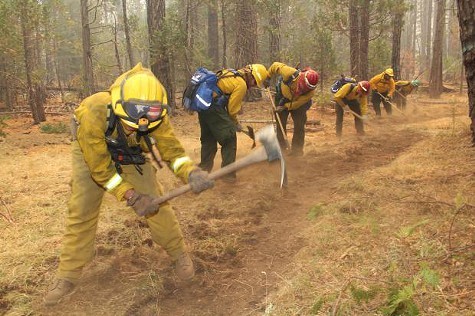 Fire crews construct fireline on the Rim Fire.