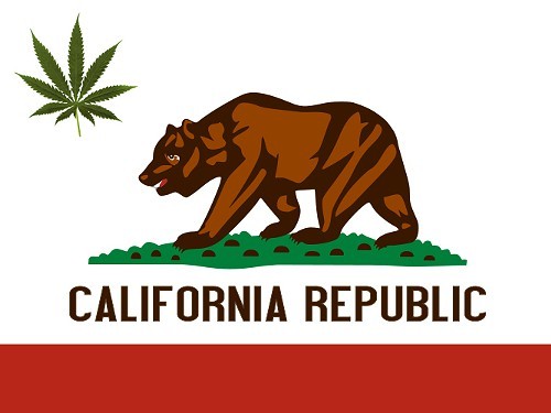 california-state-flag_marijuana.jpeg