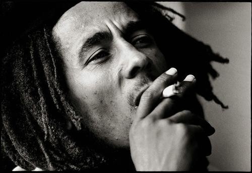bob8.jpg