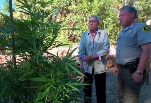 Former CBS anchor Dan Rather tours a Northern California marijuana farm for AXS.TV