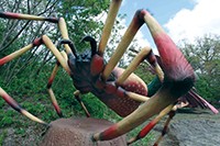 e_a_pick_art_Nephila_credit_Dinosaurs_Unearthed.jpg