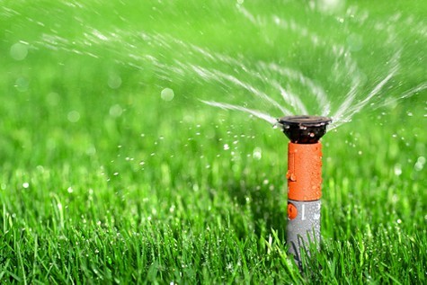 watering_lawn.jpg
