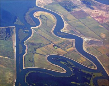 The court ruling could help the fragile delta.