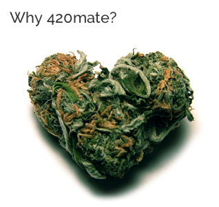 my420mate.png