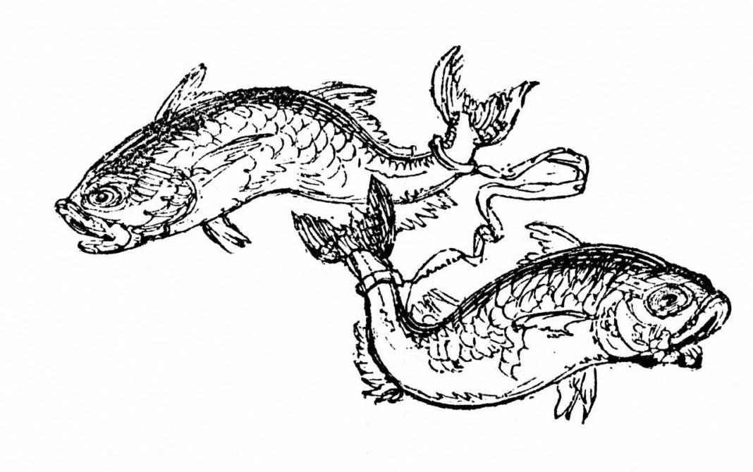 Free Will Astrology: Week of March 12