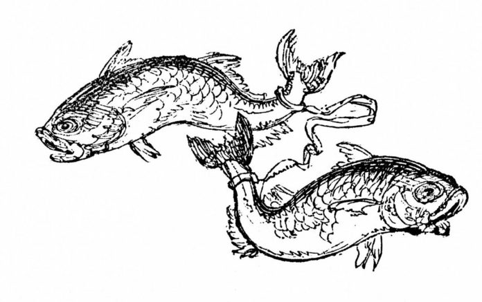 Free Will Astrology: Week of March 4 Free Will Astrology: Week of March 18