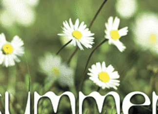 2006 Summer Guide