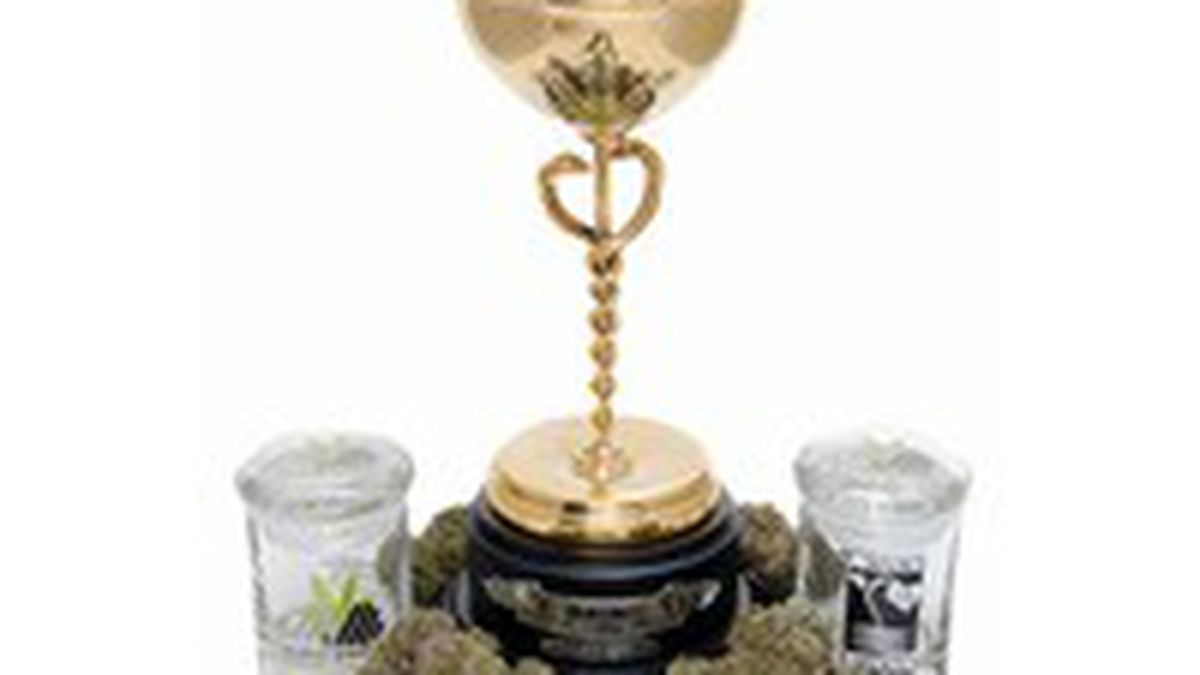 iPad Weed Menus Added to Harborside San Jose East Bay Express