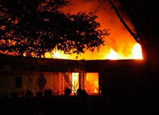 A Haven for Arsonists