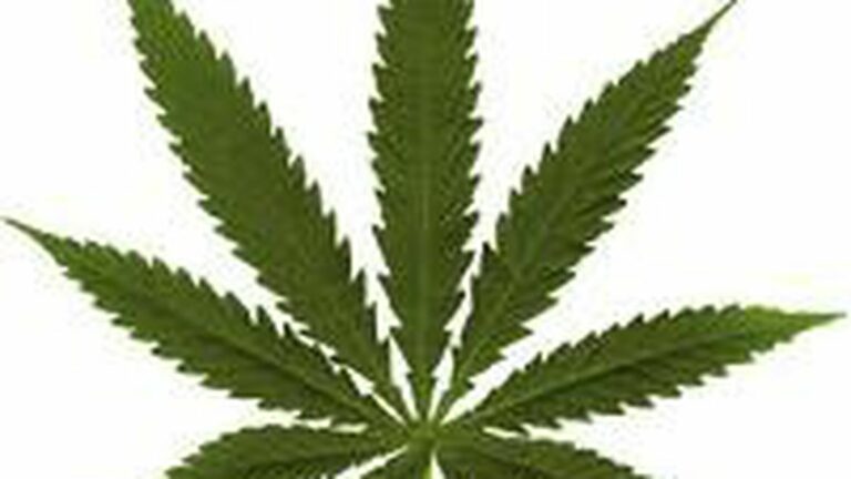 A Tax on Medical Marijuana?