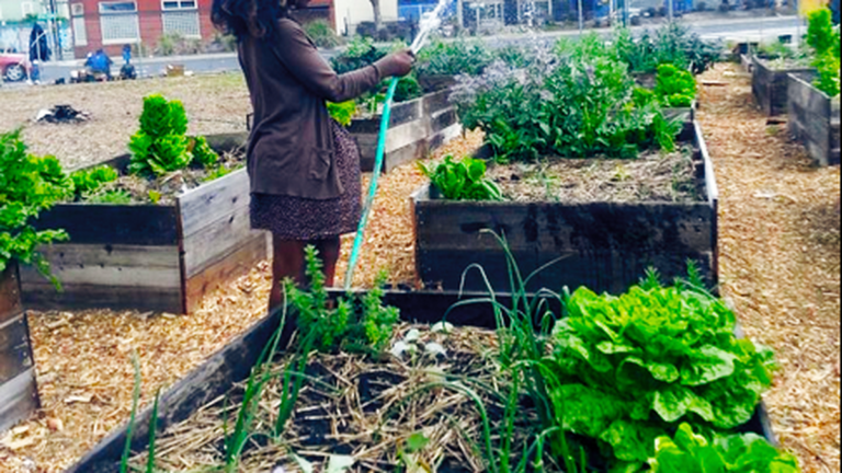 West Oakland Activists Vow to Defend Afrika Town Community Garden
