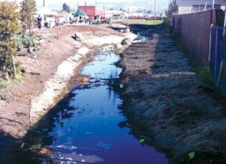 The Richmond Bioswale Project