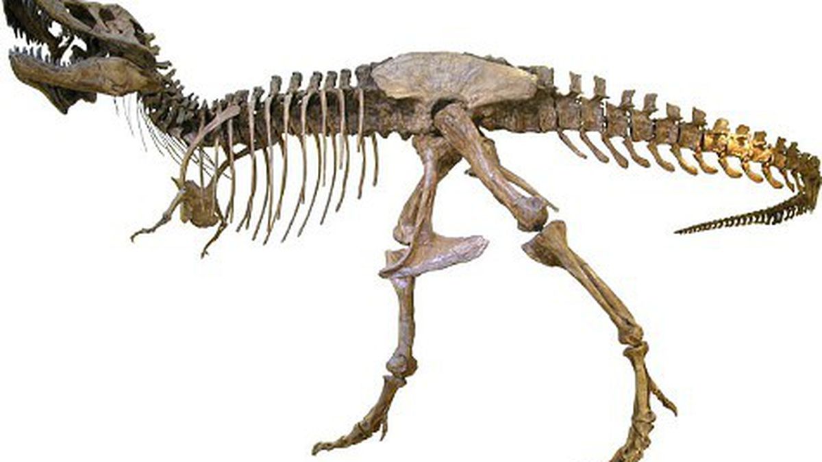 cal academy of sciences dinosaurs