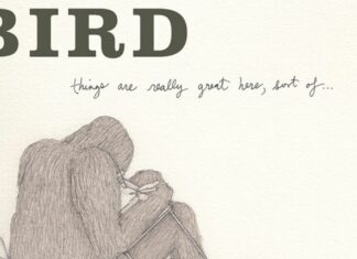 Andrew Bird