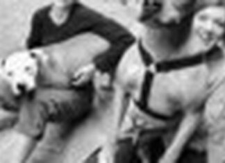Pit Bulls Need Friends Too