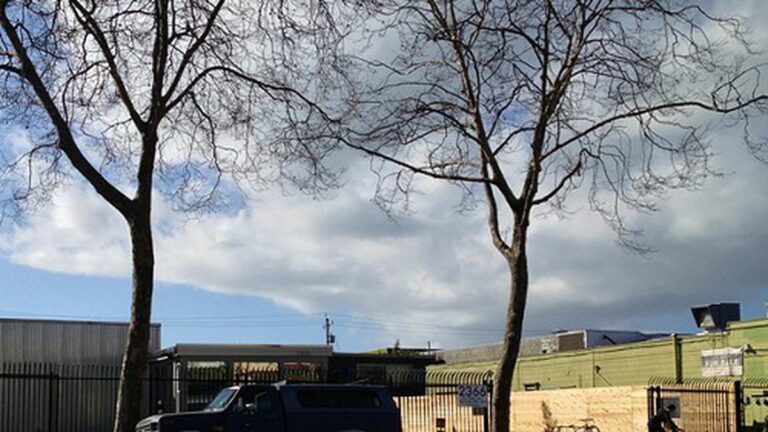 Berkeley Patients Group Targeted by Feds Again Berkeley Patients Group Targeted by Feds Again