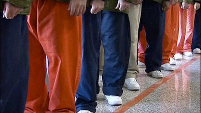 Bred in Abuse