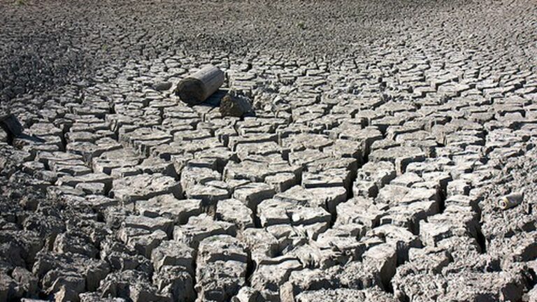 California Drought Set To Punish Pot Farmers
