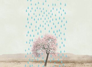 California’s Thirsty Almonds
