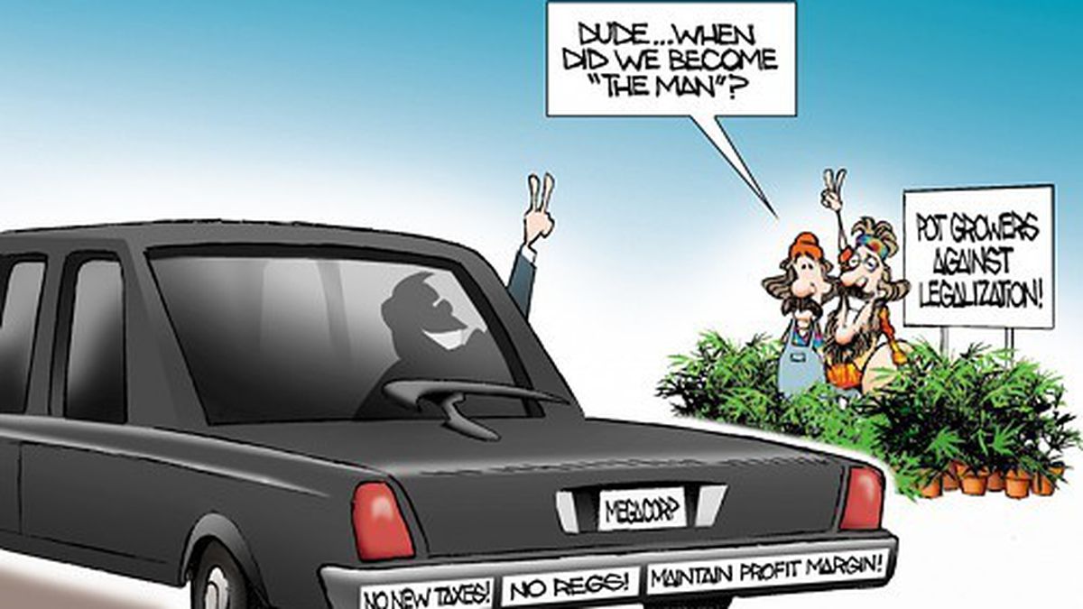 1289842309-pot_growers_comic-featured