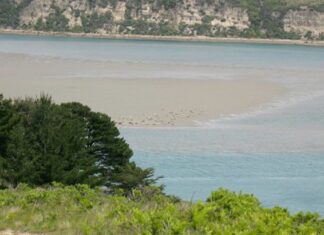 Drakes Estero Deserves Full Wilderness Protection
