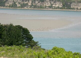 Opinion: Don’t Be Fooled by Drakes Bay Oyster Company’s Supreme Court Petition