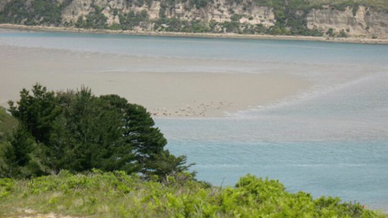 Opinion: Don’t Be Fooled by Drakes Bay Oyster Company’s Supreme Court Petition