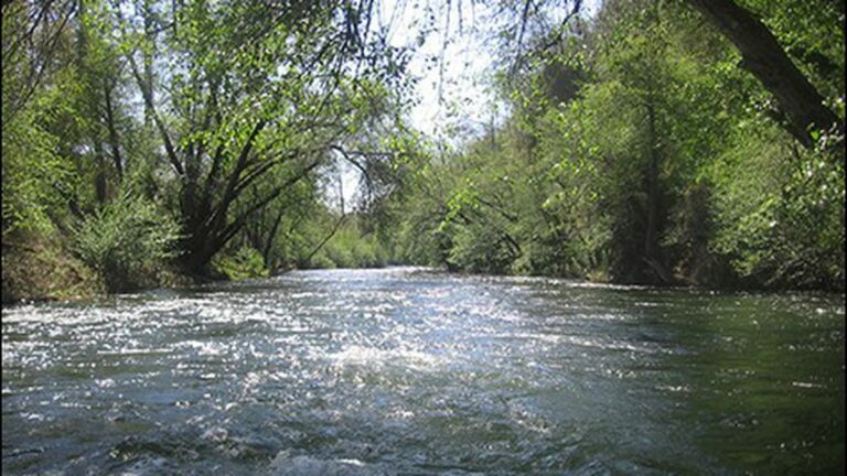 EBMUD May Block Wild and Scenic Status for the Mokelumne