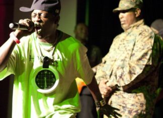 Public Enemy Brings the Heat, Spares the Noise