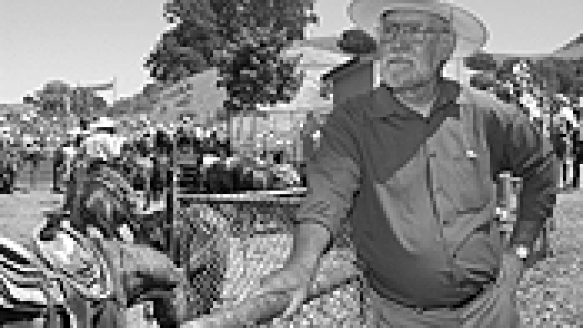 Eric Mills and the Horse He Rode in On | East Bay Express | Oakland,  Berkeley & Alameda