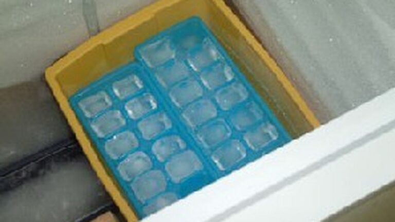 Forget So-Called Fresh – Real Fresh Lurks in Richmond Freezer Bins