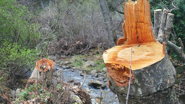 Friday Must Read: Judge Halts Niles Canyon Construction; BART Tables Late Night Service Plan