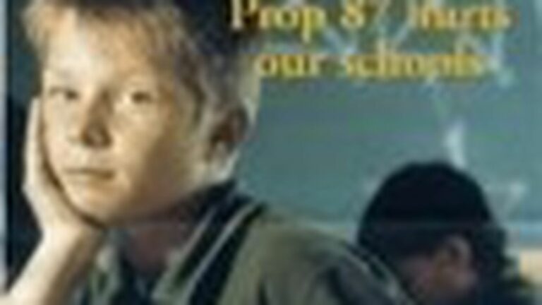 Fun With Misleading Mailers: The Big Oil Tax