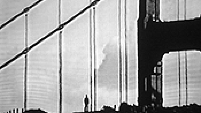Digital Auteurism