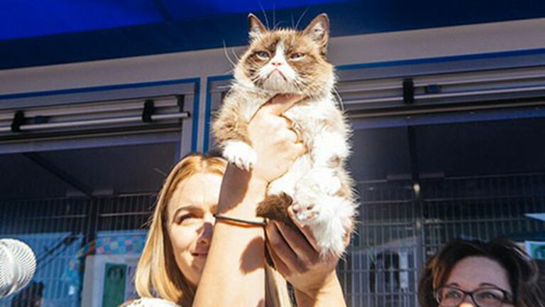 Grumpy Cat Comes to Berkeley