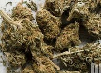 Hawaii and New Mexico Approve New Bills to Decriminalize Marijuana