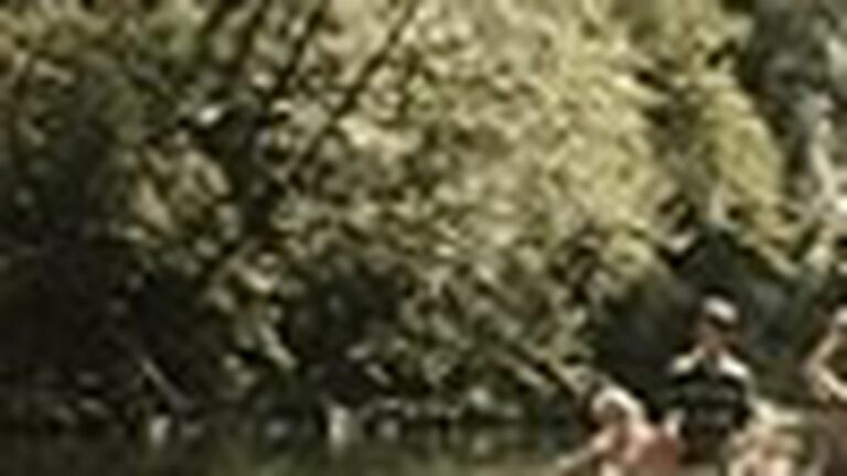 Into the Woods