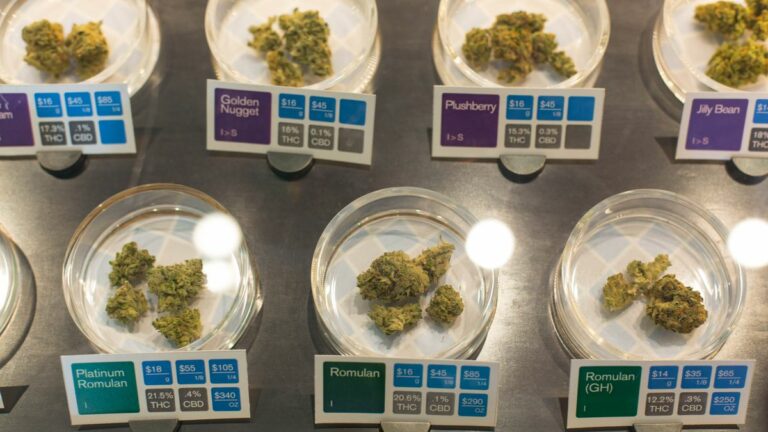 Medi-Pot Rules Advance in Assembly