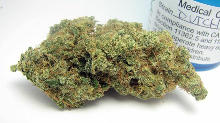 Dutch Treat Without the Red Light District