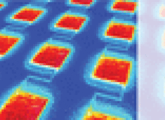 Mother Nature Shows How to Improve Solar Technology