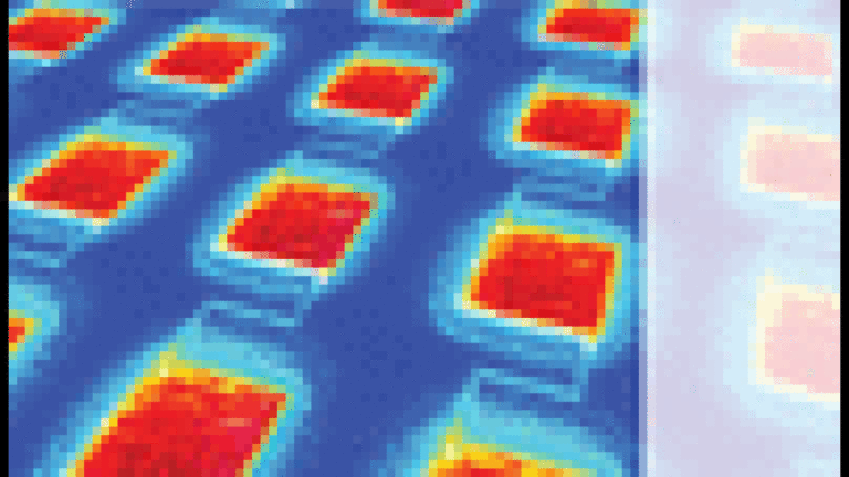 Mother Nature Shows How to Improve Solar Technology