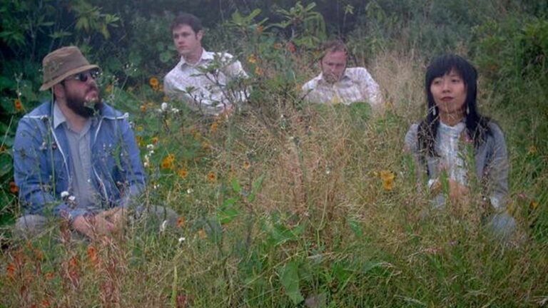 MP3 of the Day: the Skygreen Leopards’ “Disciples of California”