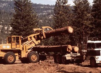 National Forests’ Fate Is Uncertain