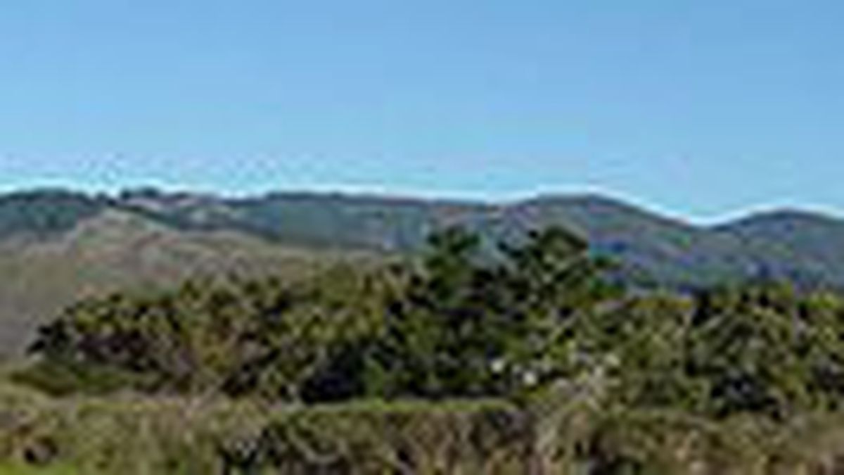 1362905941-url-featured