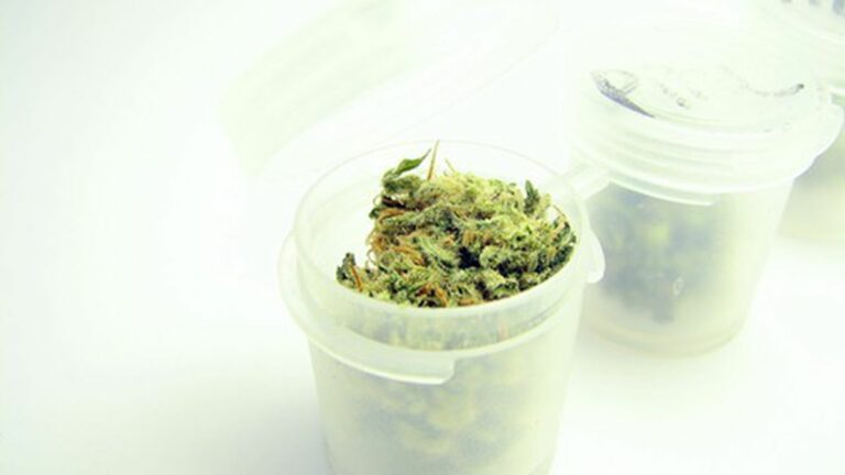 California Marijuana Regulation Bill 473 Hits Assembly