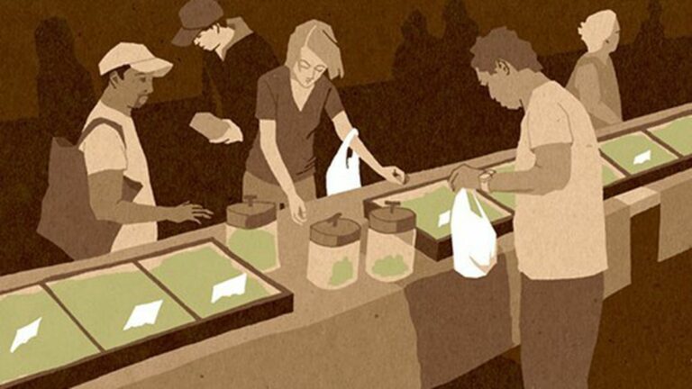 Seven Questions That Fracture the Marijuana Legalization Movement