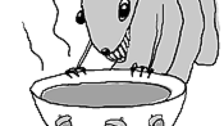 Soup ‘n’ Hawks